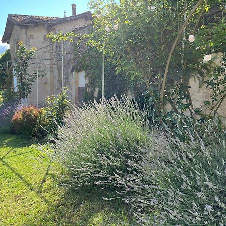 Pessac-sur-Dordogne Chateau Carbonneau מראה חיצוני תמונה