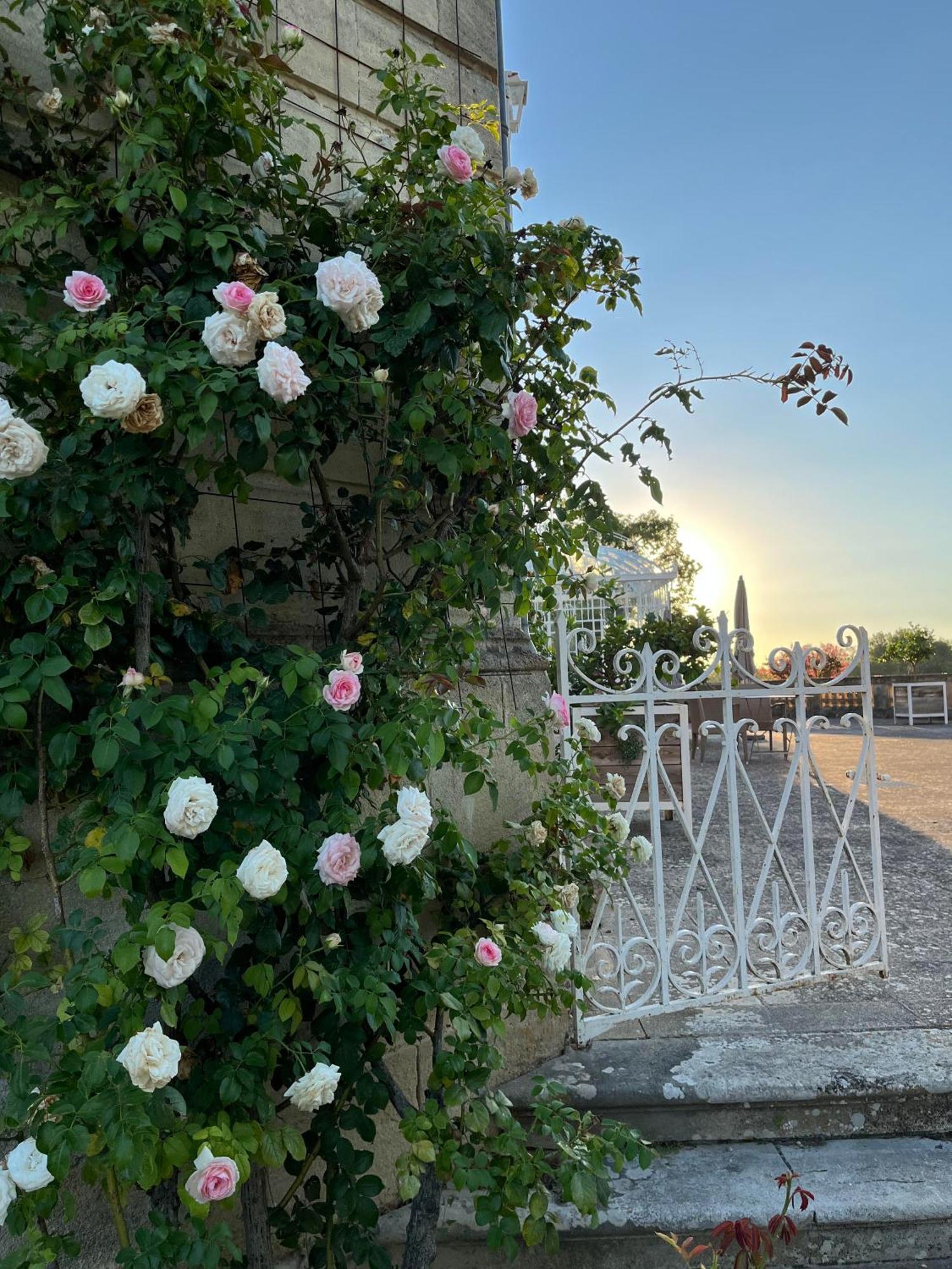 Pessac-sur-Dordogne Chateau Carbonneau מראה חיצוני תמונה