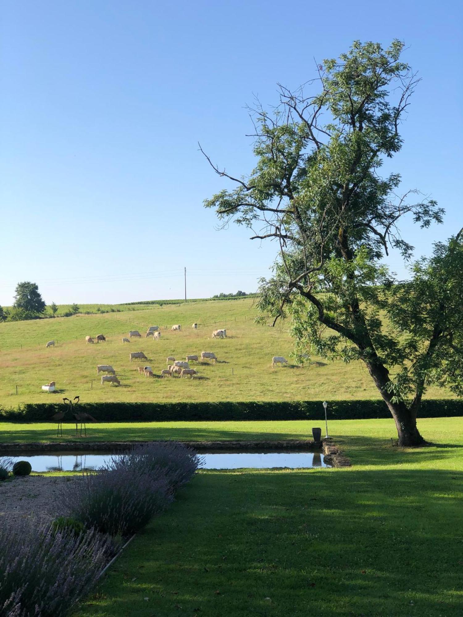 Pessac-sur-Dordogne Chateau Carbonneau מראה חיצוני תמונה