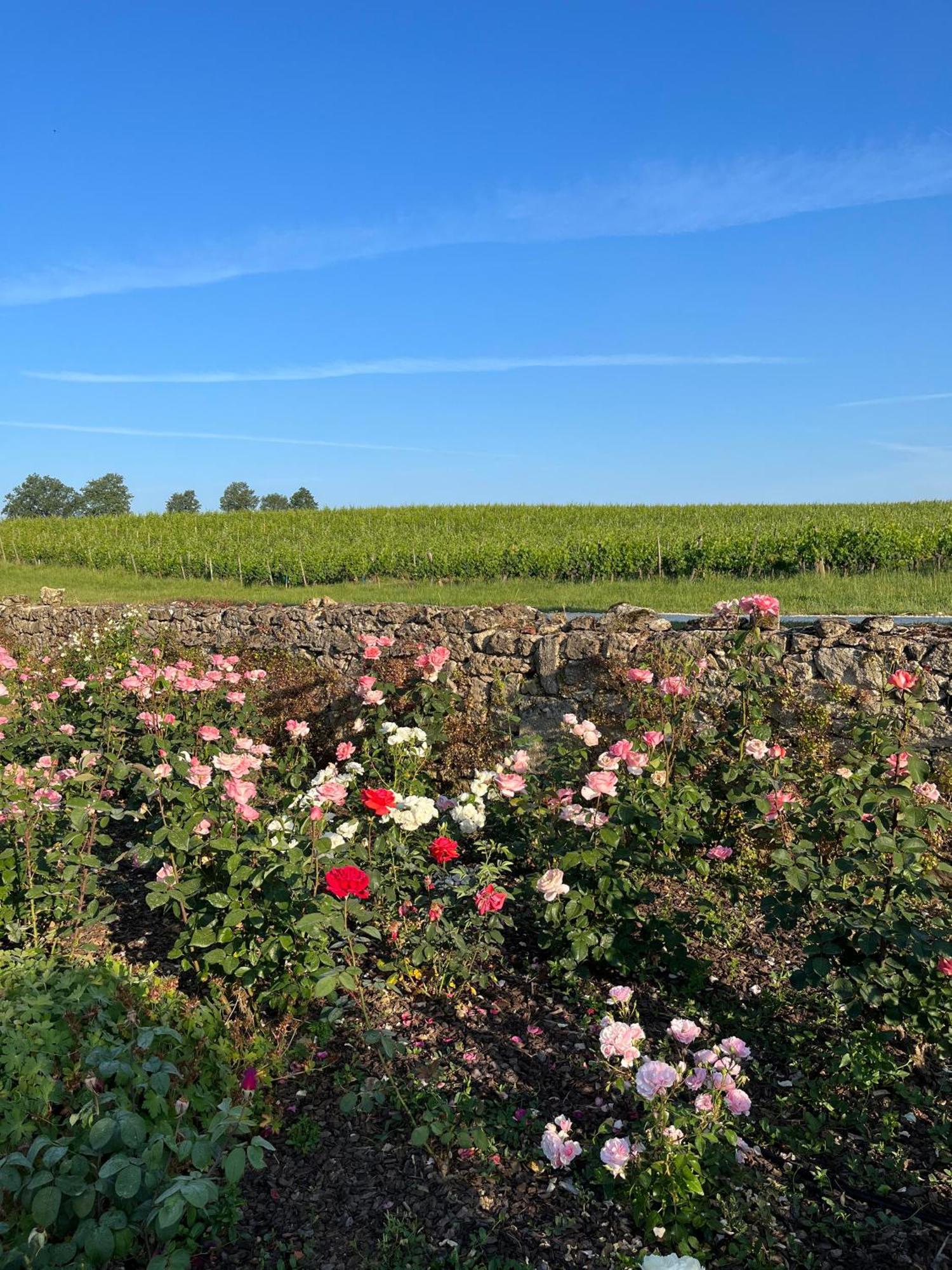 Pessac-sur-Dordogne Chateau Carbonneau מראה חיצוני תמונה