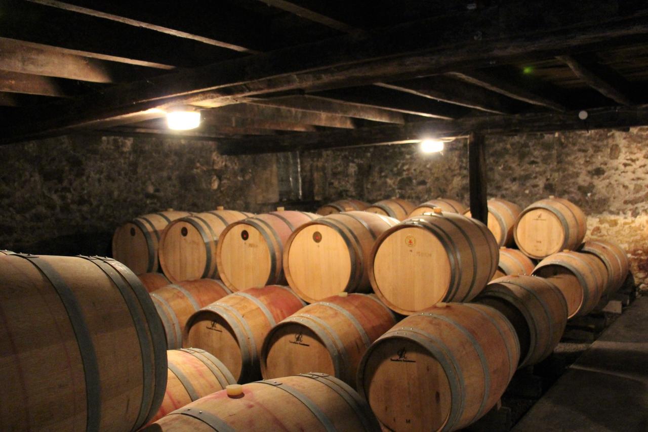 Pessac-sur-Dordogne Chateau Carbonneau מראה חיצוני תמונה
