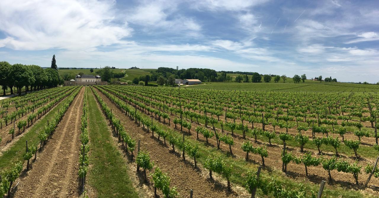 Pessac-sur-Dordogne Chateau Carbonneau מראה חיצוני תמונה